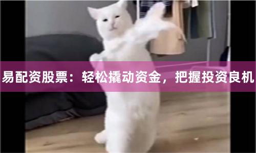 易配资股票：轻松撬动资金，把握投资良机
