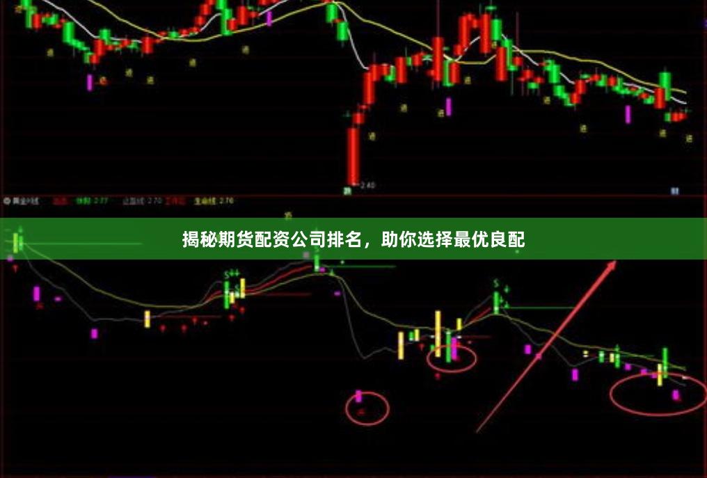 揭秘期货配资公司排名，助你选择最优良配