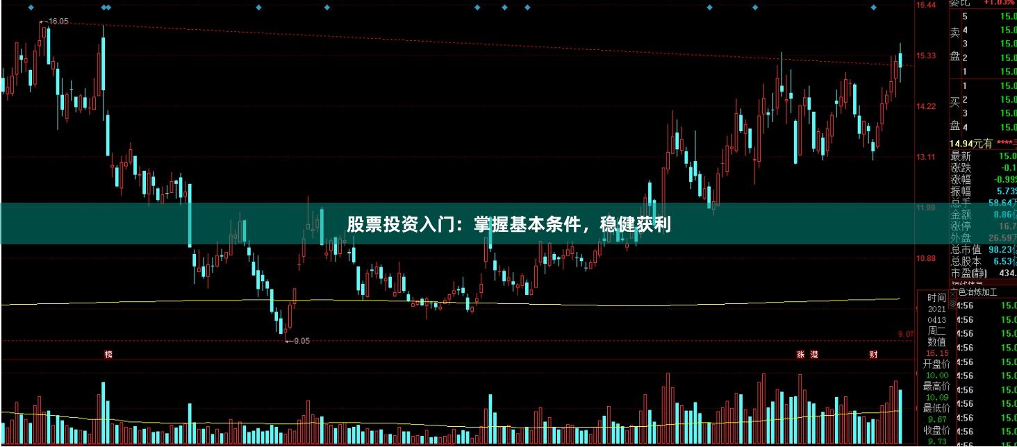 股票投资入门：掌握基本条件，稳健获利