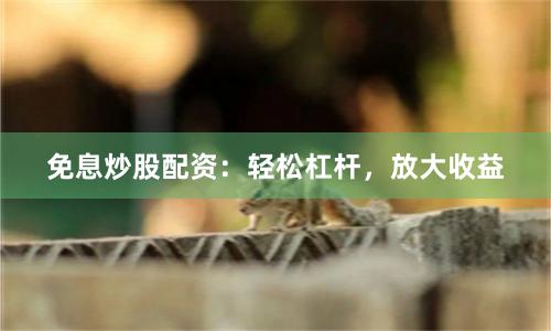 免息炒股配资：轻松杠杆，放大收益