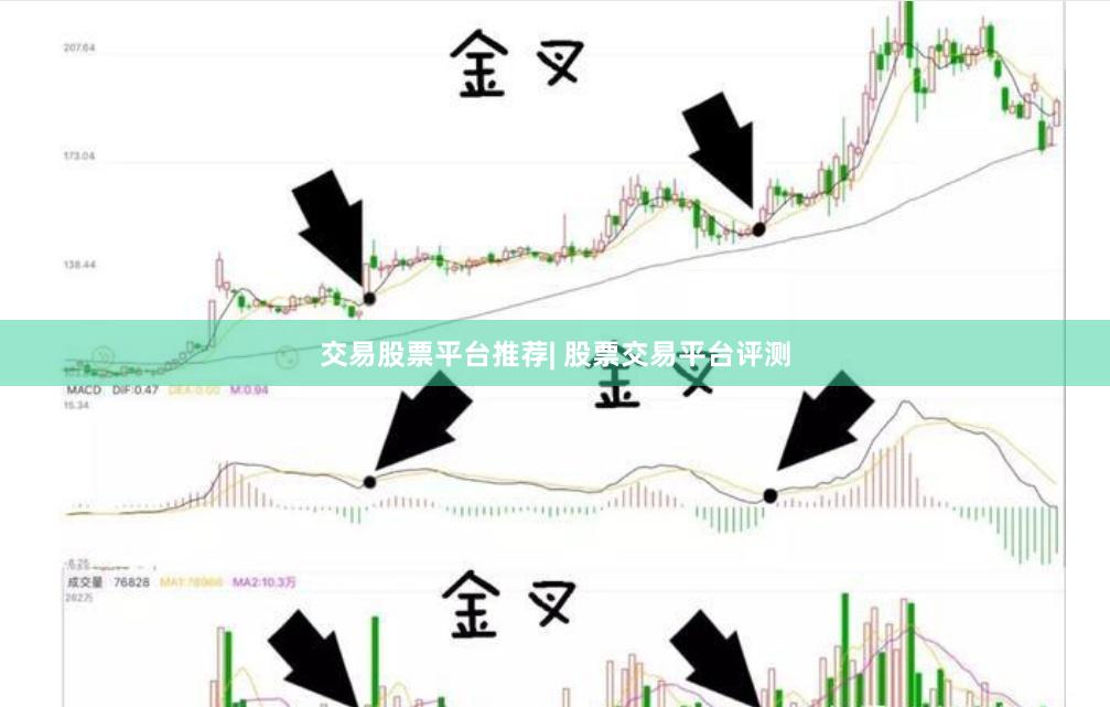 交易股票平台推荐| 股票交易平台评测